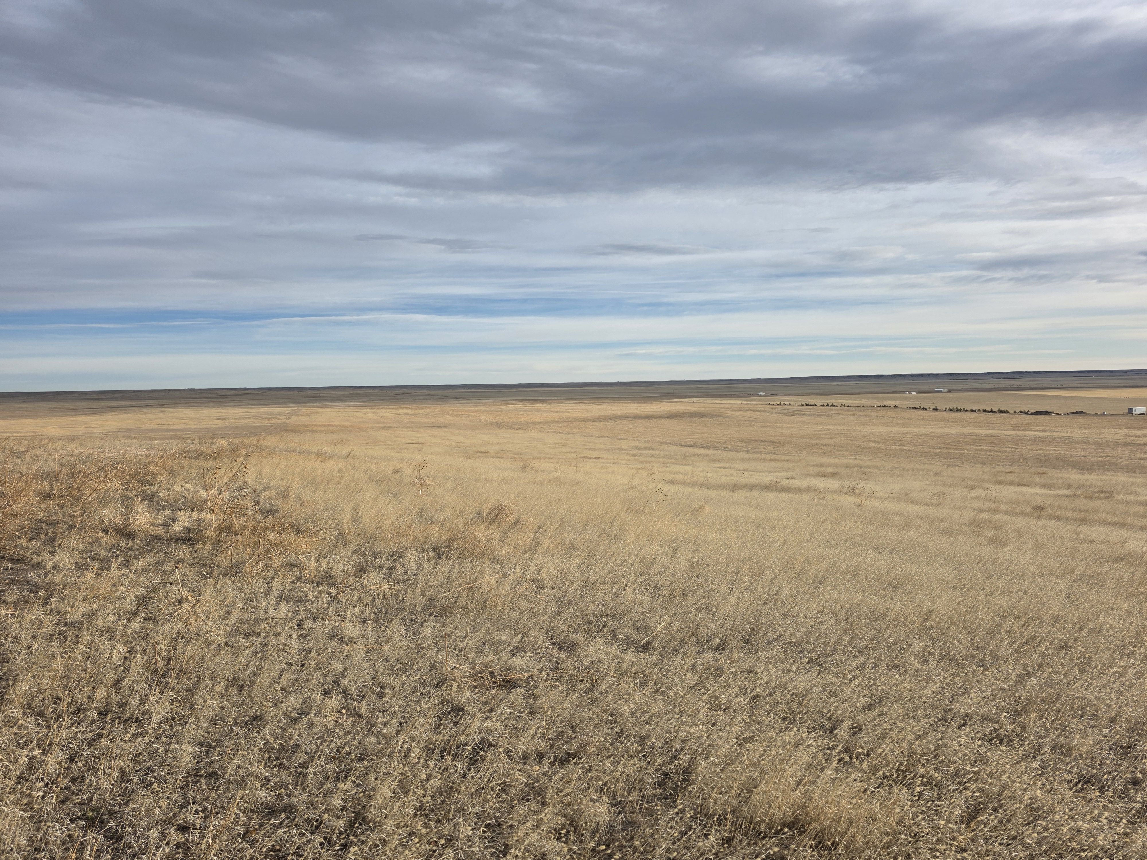 Listing Photo: Ground 3